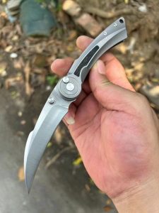 mmexport1744158196510