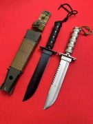 mmexport1744784177288