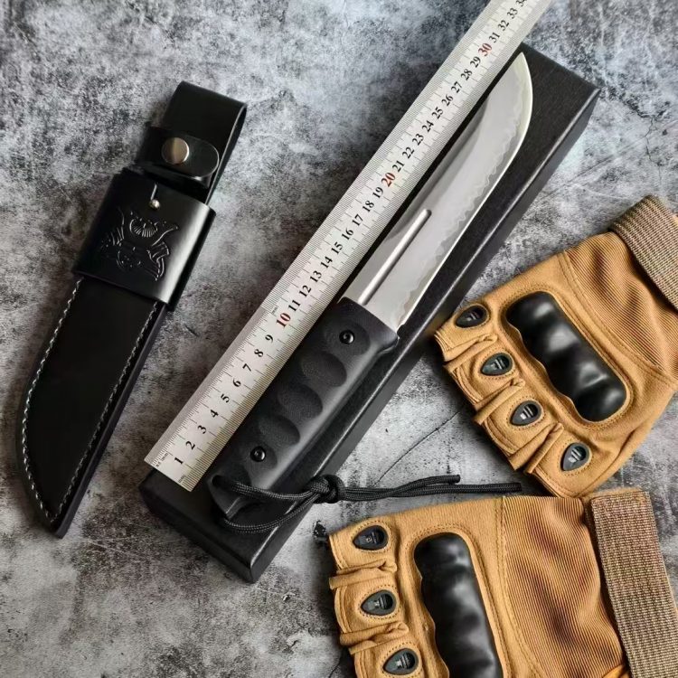 mmexport1747355413308