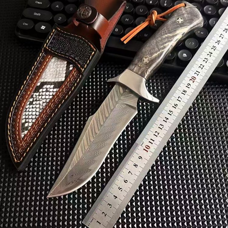 mmexport1747355533606