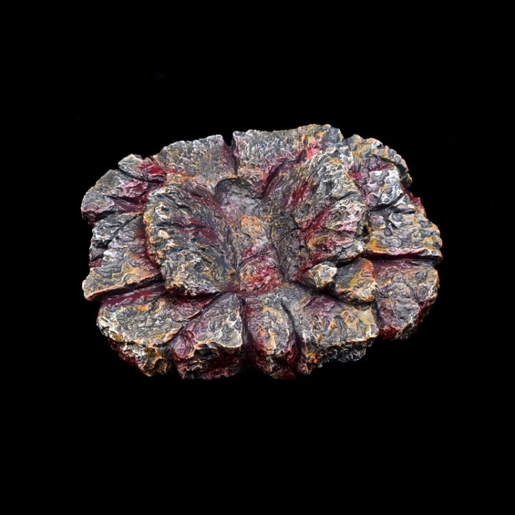 mmexport1750945741603