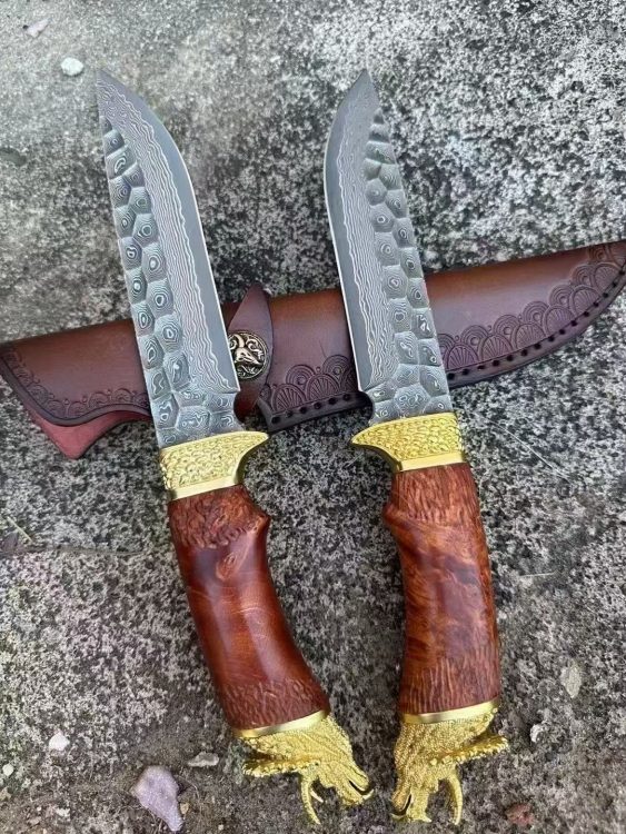 mmexport1755569762725