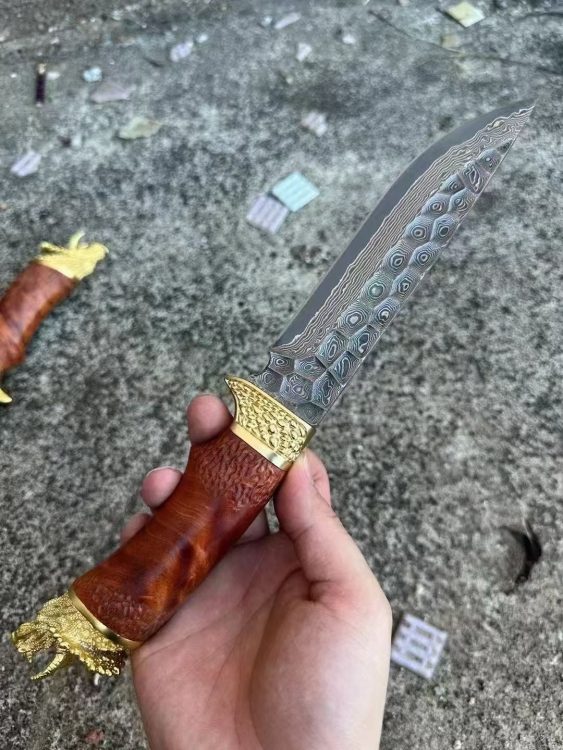 mmexport1755569770704