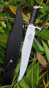 mmexport1756016373358