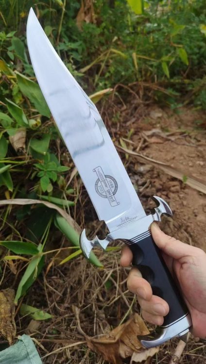 mmexport1756016377387