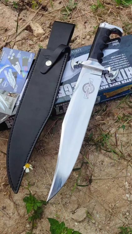 mmexport1756016380846