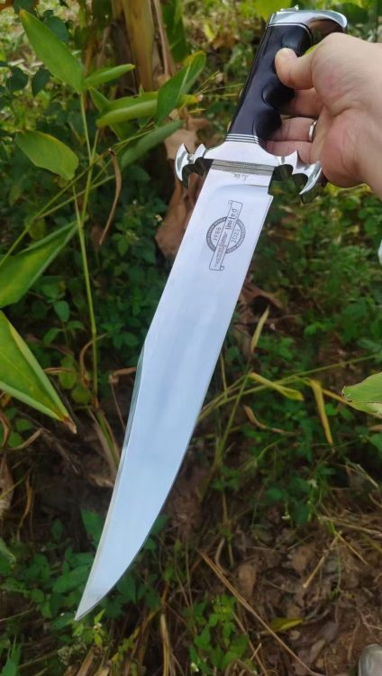 mmexport1756016399903