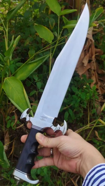 mmexport1756016401669