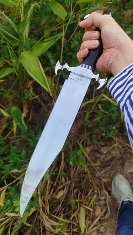 mmexport1756016403502