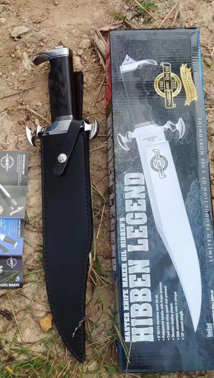 mmexport1756016407310