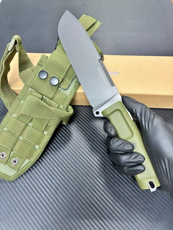 mmexport1756699256458