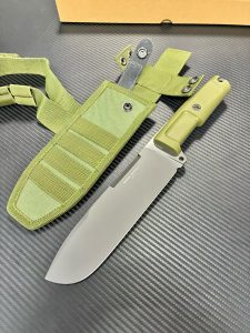 mmexport1756699262215