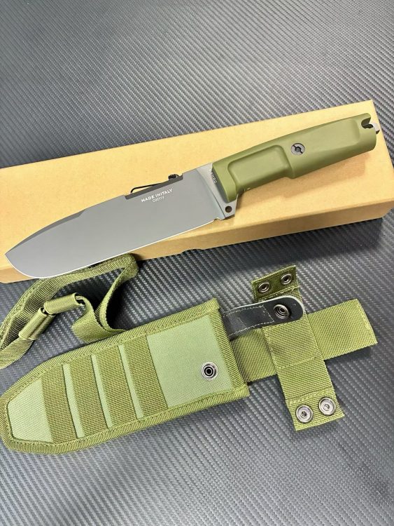 mmexport1756699263993