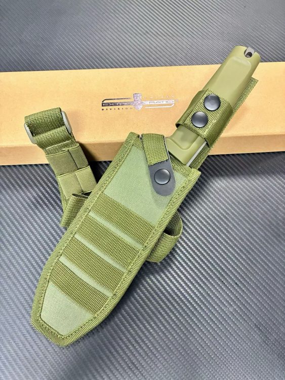 mmexport1756699265819