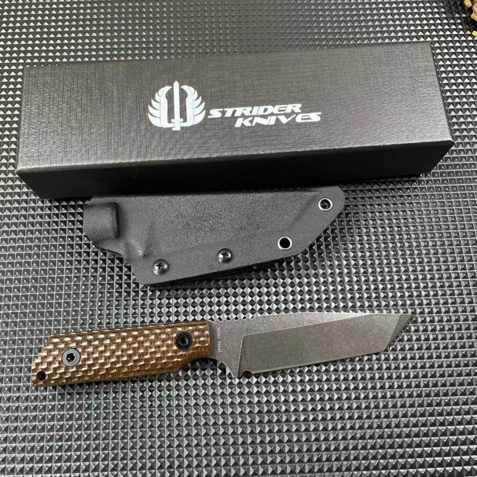 mmexport1756715606218