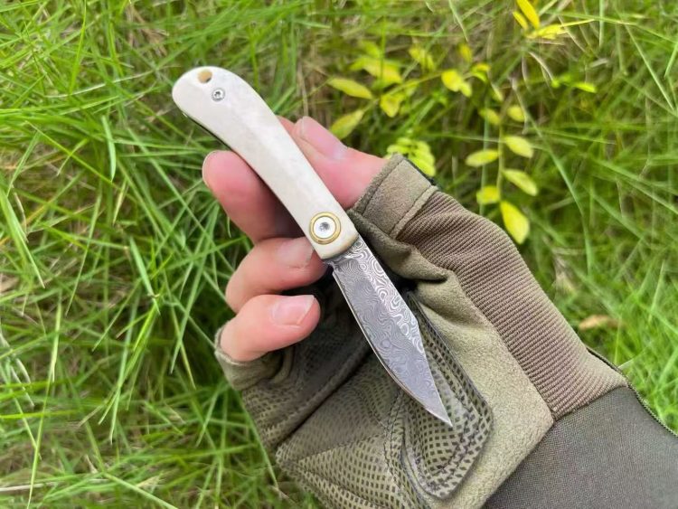 mmexport1758052237839