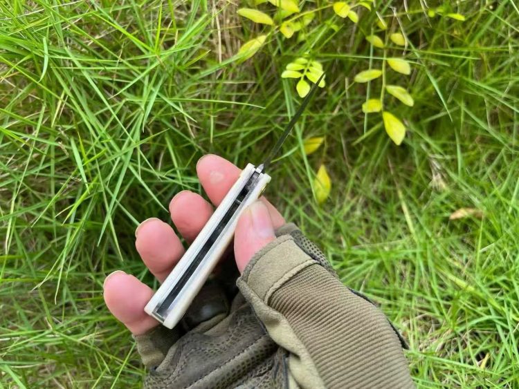 mmexport1758052239401