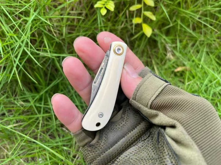 mmexport1758052245304