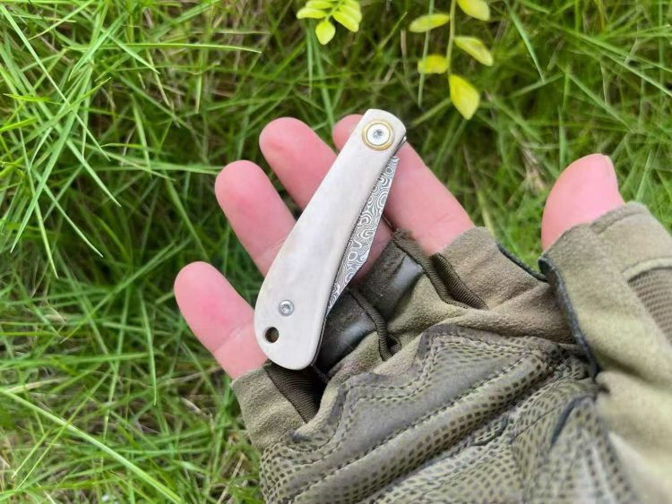 mmexport1758052247586