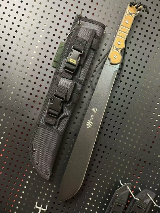 mmexport1759205870548