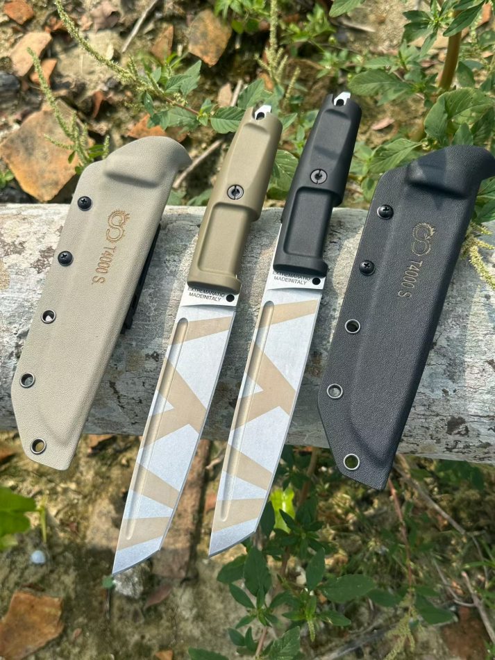 mmexport1759981575412 mmexport1759981575412