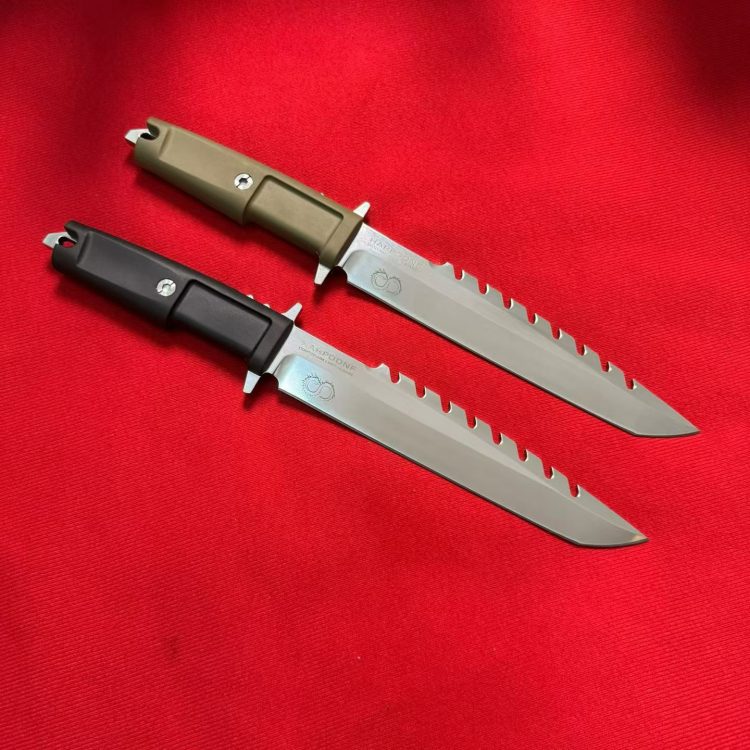 mmexport1761566156462